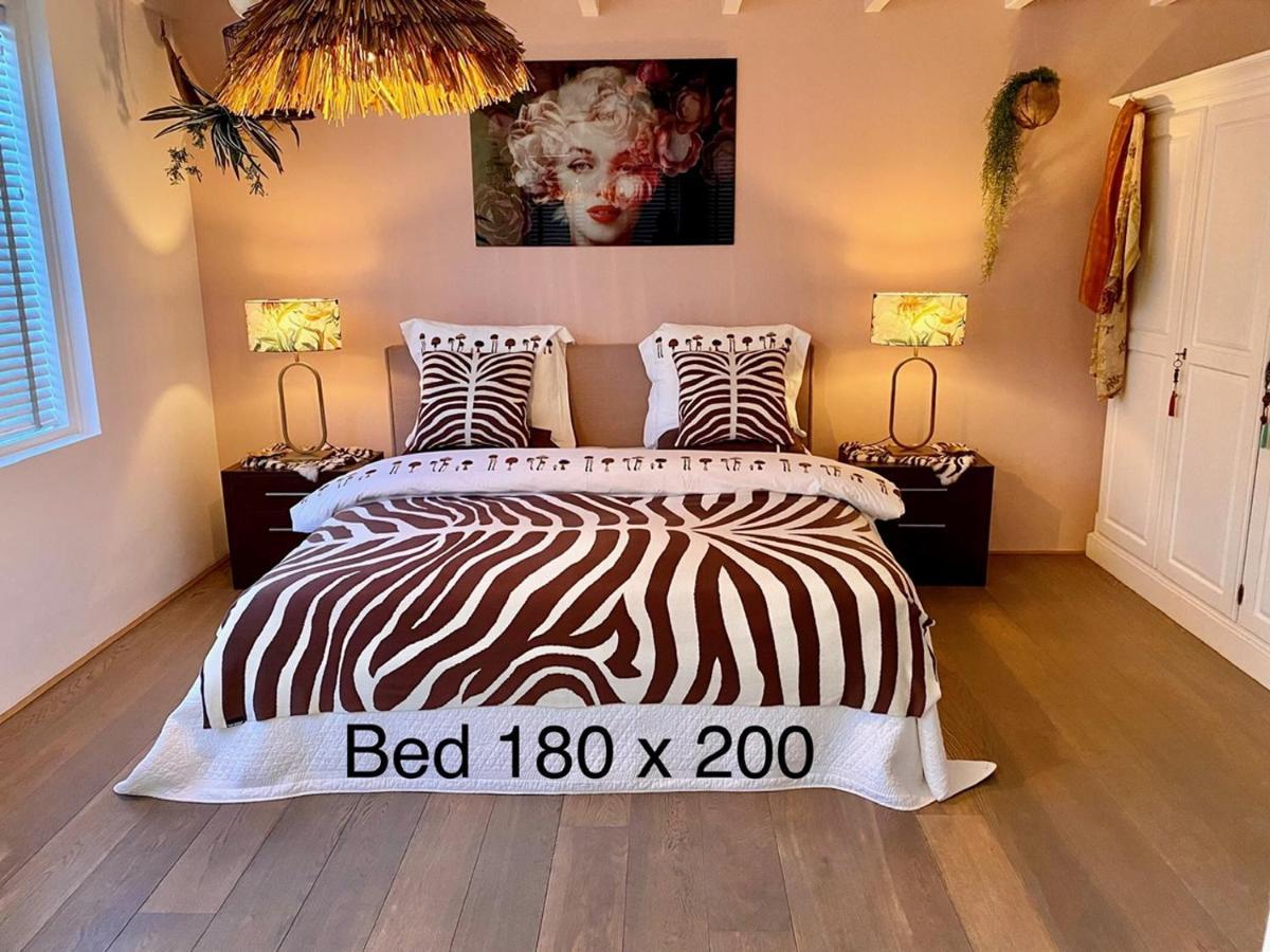 Vakantiehuis De Zeeparel زاندفورت المظهر الخارجي الصورة