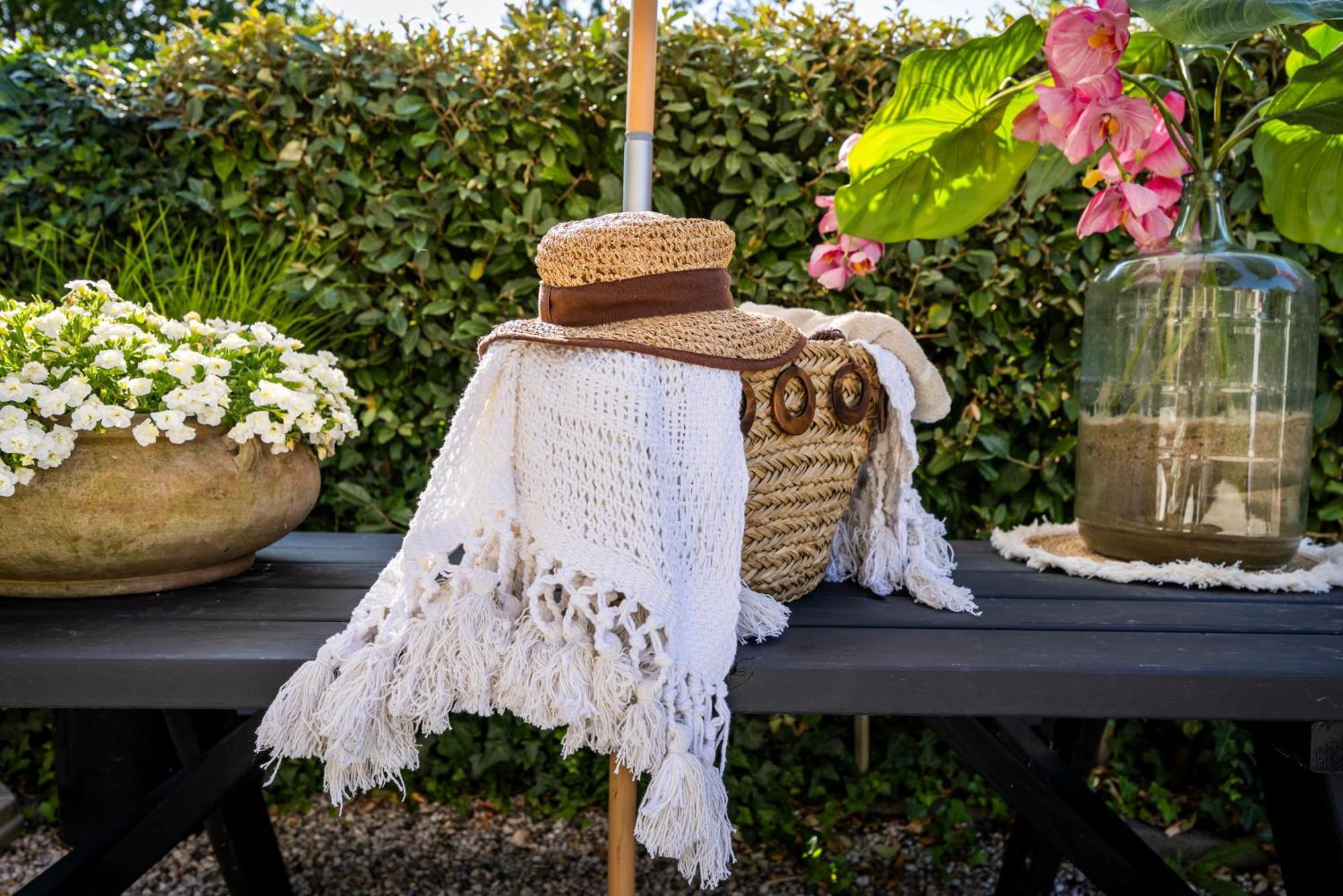 Vakantiehuis De Zeeparel زاندفورت المظهر الخارجي الصورة